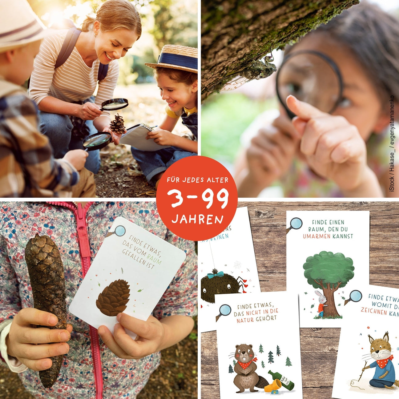 Suchen & Finden – Entdeckerkarten-Set