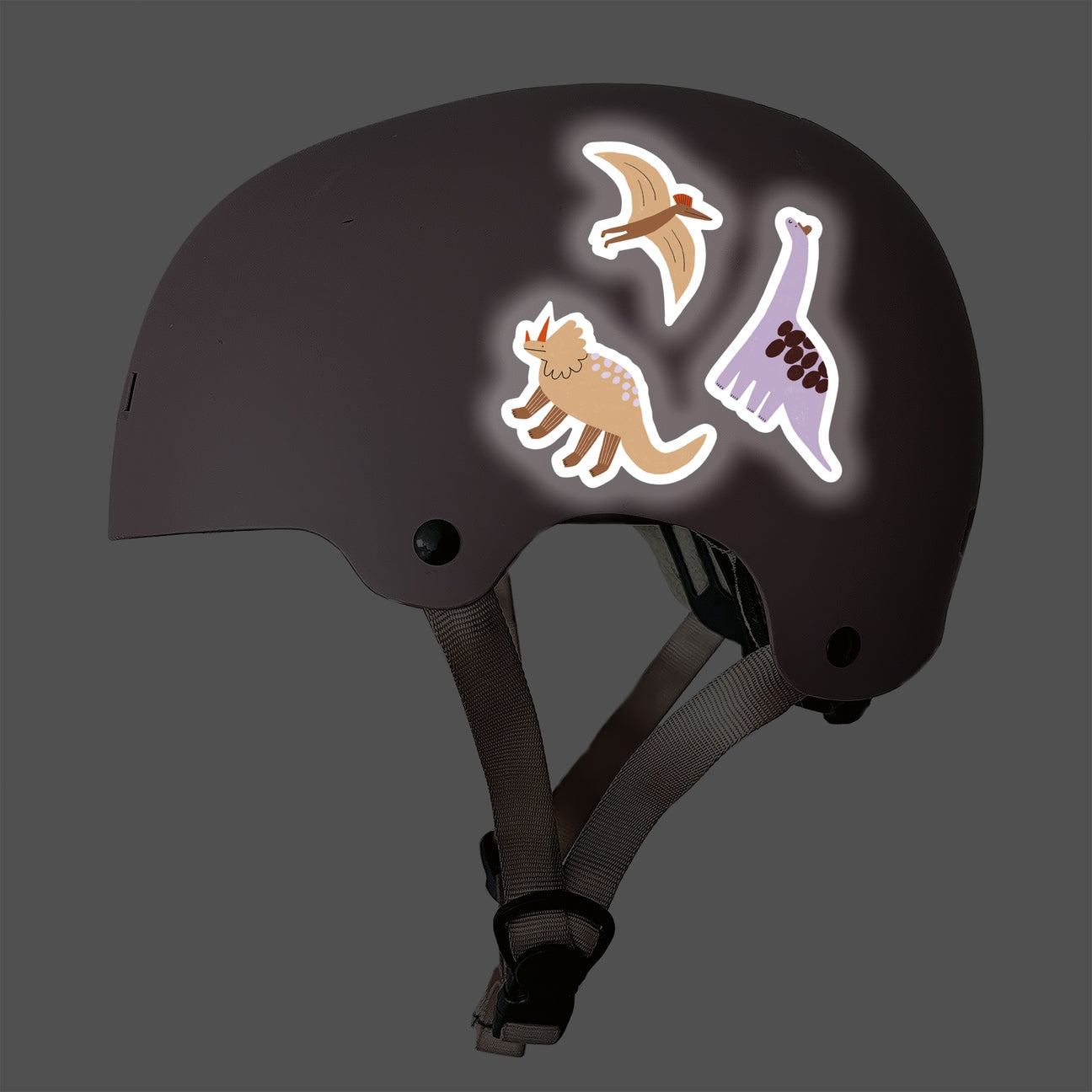 Reflektierende Sticker, Dinos